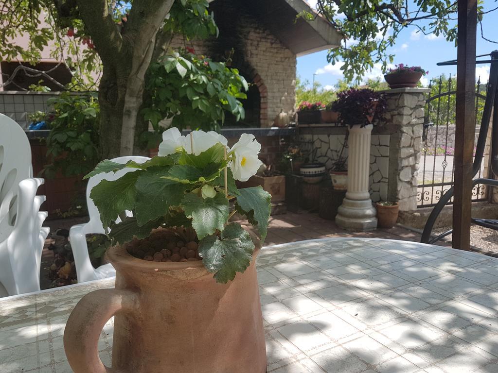 Apartment Adis Šibenik Екстериор снимка