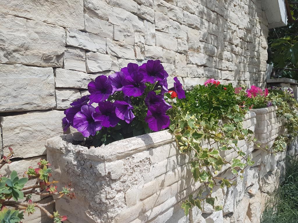 Apartment Adis Šibenik Екстериор снимка